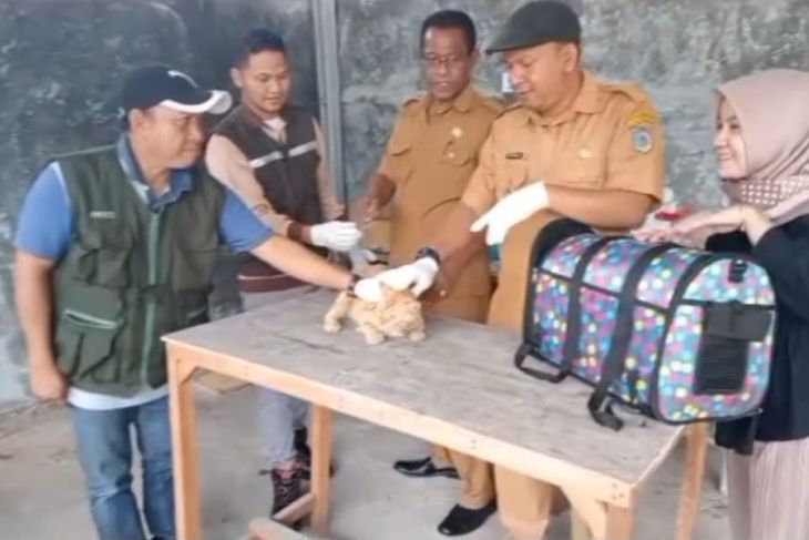 vaksinasi rabies