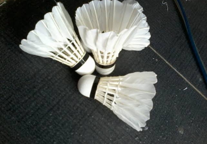 shuttlecock