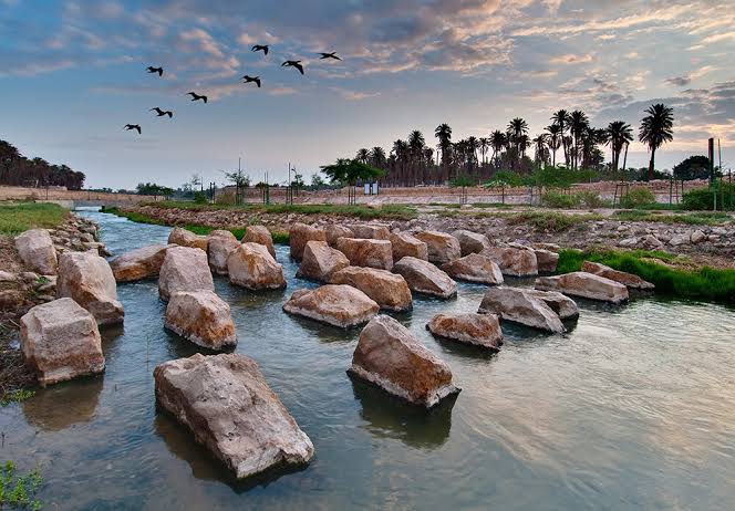 Wadi hanifah