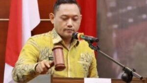 Seno Ajo