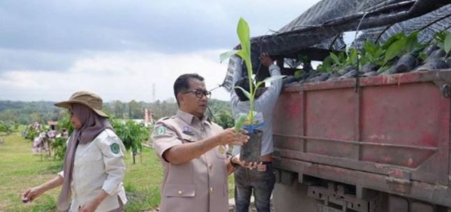 pelepasan benih