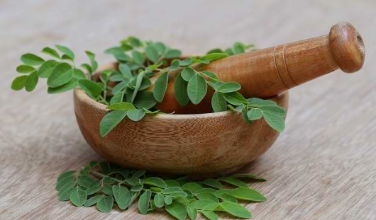 Manfaat Daun Kelor