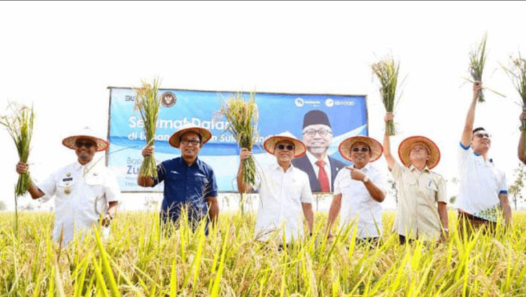 Penggunaan bibit padi unggul