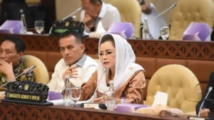 Kenaikan PPN 12 persen
