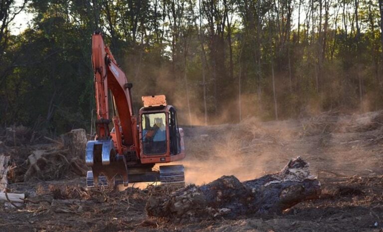 Dampak Deforestasi IKN terhadap Lingkungan.
