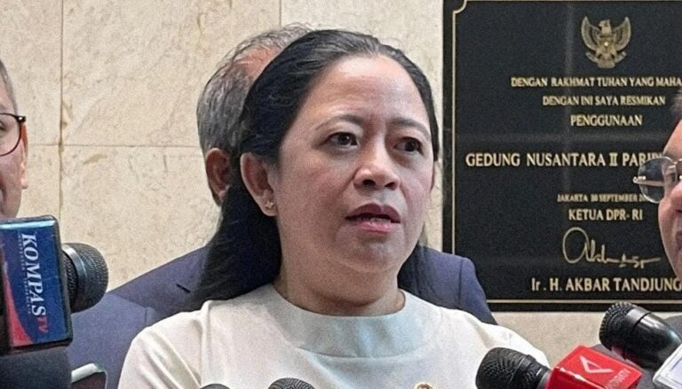 Puan Maharani, DPR RI