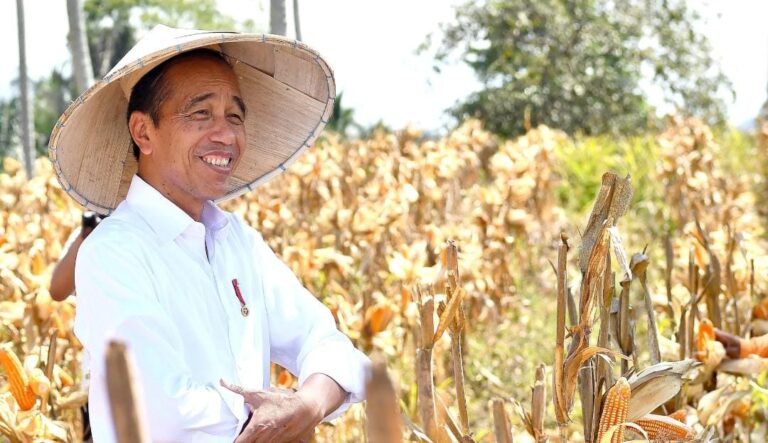Reforma agraria dan kedaulatan pangan era Jokowi