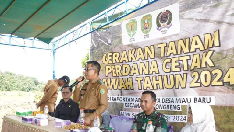 cetak sawah