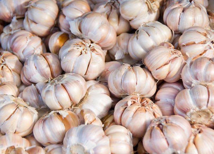 Harga Bawang Putih 2025 Distributor vs Pasar Jelang Lebaran
