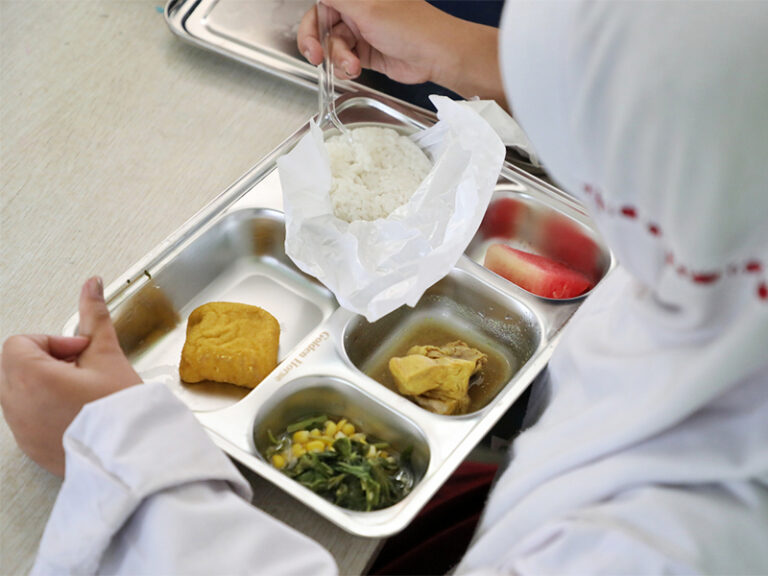 Makan bergizi gratis