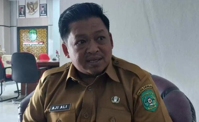 Dispora Kukar, Aji Ali Husni