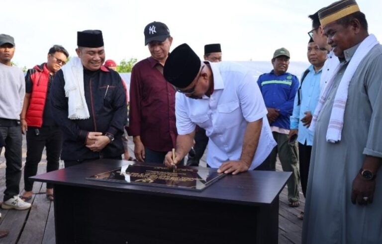Bupati Kukar saat Resmikan Uji Coba Listrik Komunal Desa Tani Baru (.ist)