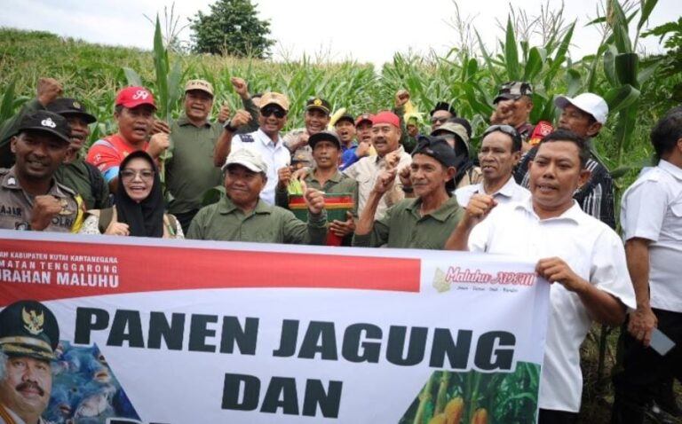 Bupati Kutai Kartanegara (Kukar) Edi Damansyah saat memanen jagung dan ikan hasil budidaya Kelompok Tani (Poktan) Tri Rukun di RT 19, Jalan Barong Tongkok, Gang Kenanga, Kelurahan Maluhu, Kecamatan Tenggarong