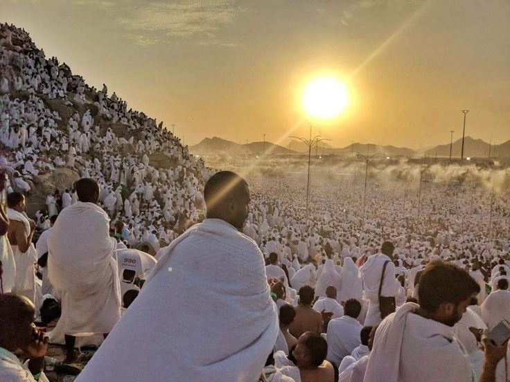 Fokus Jamaah Haji pada Wukuf di Arafah 2025