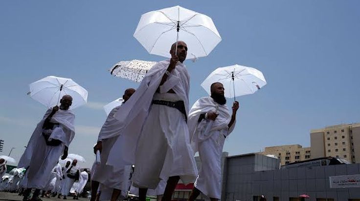 Tantangan Fisik Jemaah Haji Indonesia 2025 di Arafah