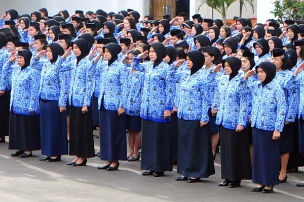 Aparatur Sipil Negara (ASN),