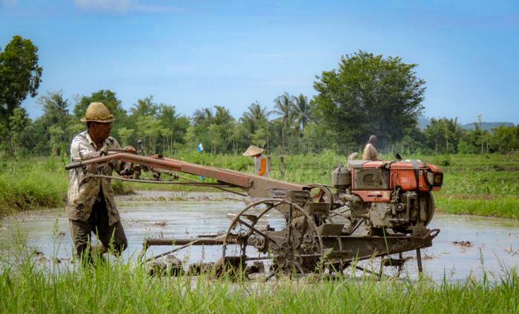 Kukar pemasok pangan utama untuk IKN