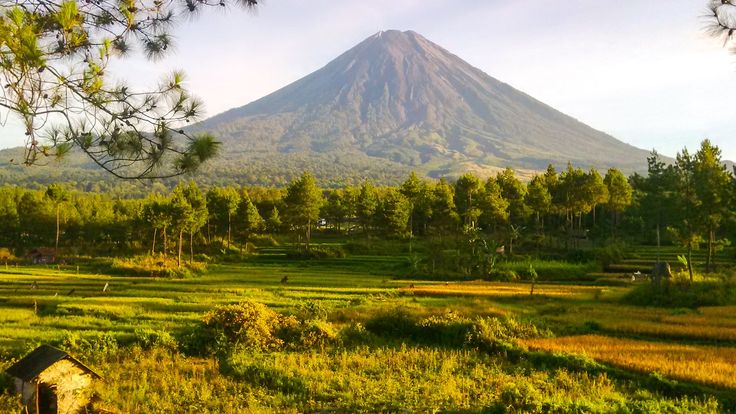Pendakian Gunung Cikuray