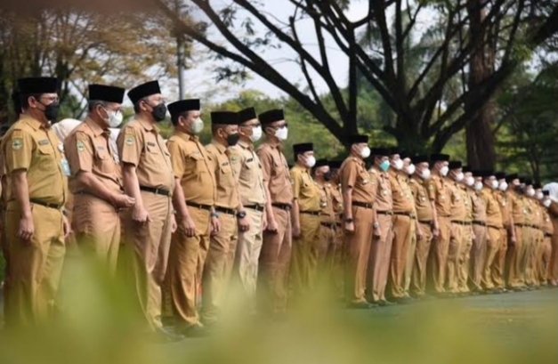 pegawai negeri sipil (PNS)