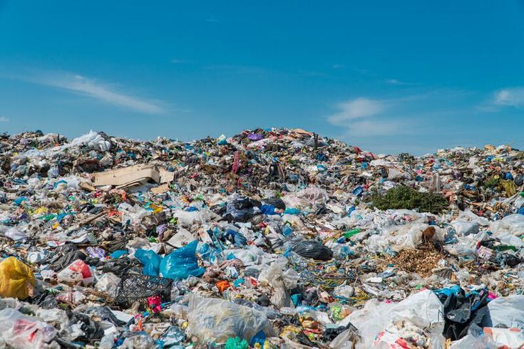 Program Daur Ulang Sampah Plastik 2025