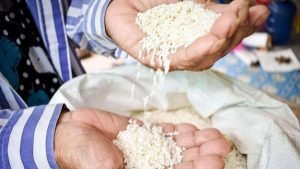Potensi Zakat Fitrah 2026 Diproyeksi Rp7,1 Triliun