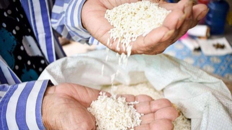 Potensi Zakat Fitrah 2026 Diproyeksi Rp7,1 Triliun