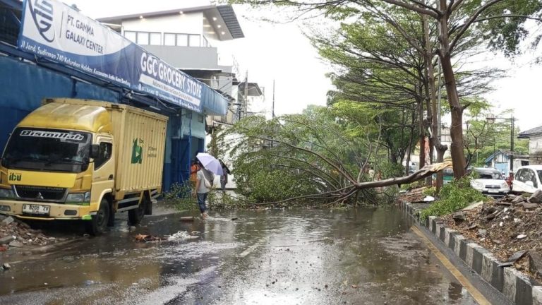 Bandung Dilanda Cuaca Ekstrem, Puluhan Pohon Roboh