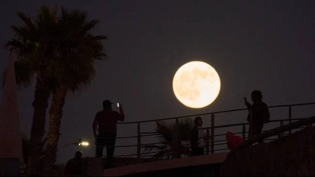 Fenomena Pink Moon Hiasi Langit Awal April 2026 Fenomena Pink Moon Hiasi Langit Awal April 2026