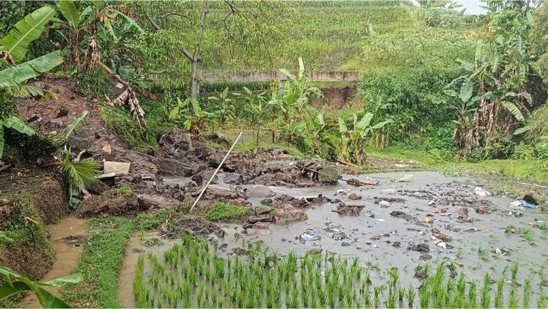 Kondisi saluran irigasi sawah yang putus akibat tanah longsor di Citepus, Desa Santanamekar, Cisayong, Tasikmalaya.
