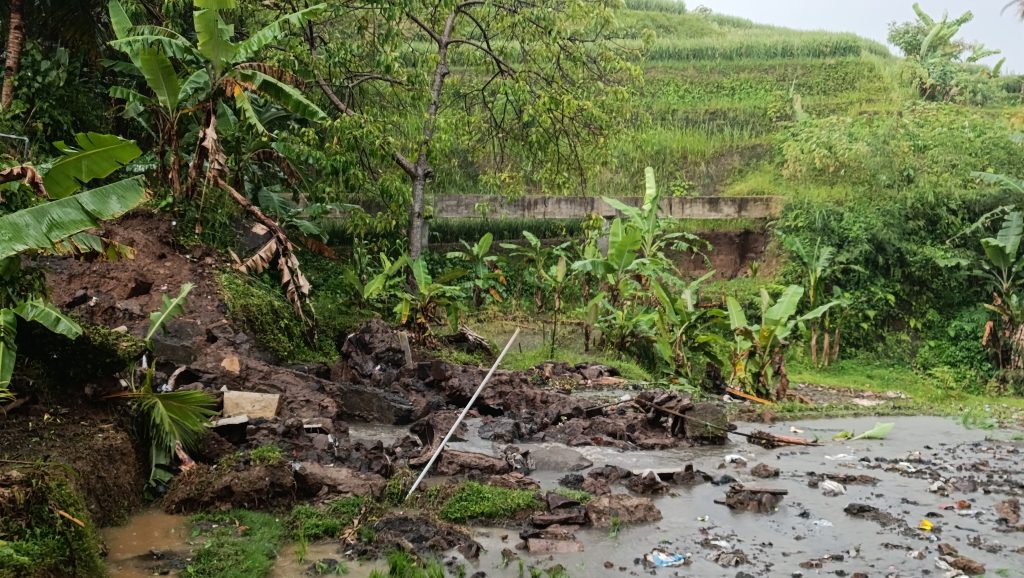Material tanah longsor dan luapan air dari balong menimpa area persawahan warga di Desa Santanamekar, Cisayong.