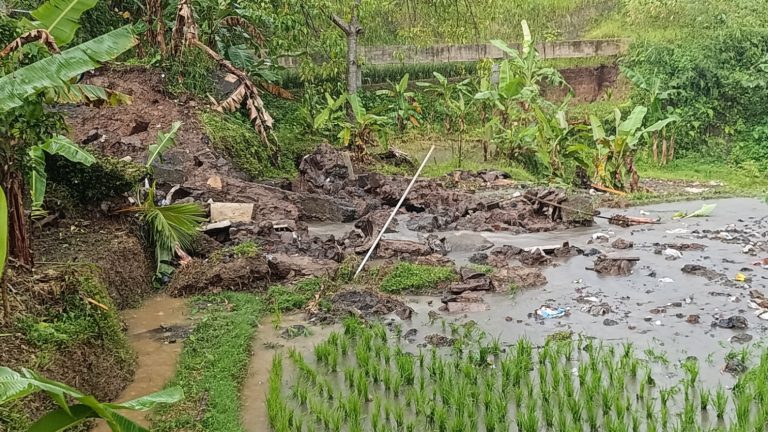 Hujan Deras Picu Longsor di Cisayong Tasikmalaya