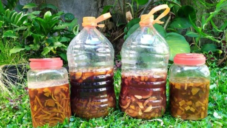 Laundry ramah lingkungan