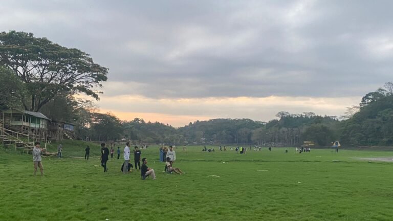 Kemarau Ubah Situ Gede Tasikmalaya Jadi Hamparan Rumput Hijau Situ Gede Tasikmalaya