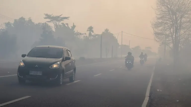Kalimantan Diselimuti Asap, Ribuan Warga Kena ISPA Kalimantan Diselimuti Asap, Ribuan Warga Kena ISPA