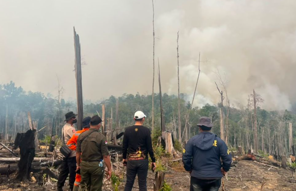 Bekas Karhutla Berau Ditanami Sawit, Polisi Selidiki Karhutla di Kalimantan
